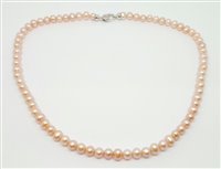 Collier Lorenza Gioielli Femme Perle in Perles Perla CL456787 - CL456787